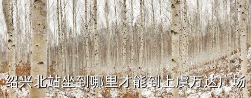 紹興北站坐到哪里才能到上虞萬(wàn)達(dá)廣場(chǎng)
