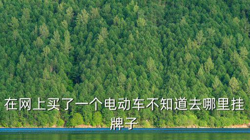 在網上買了一個電動車不知道去哪里掛牌子