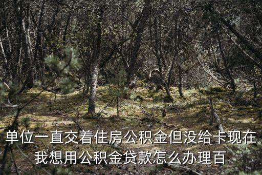 單位一直交著住房公積金但沒給卡現(xiàn)在我想用公積金貸款怎么辦理百