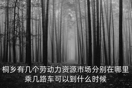 桐鄉人才市場，桐鄉人才市場地址在哪每周那幾天有招聘會從洲泉坐什么車去人才