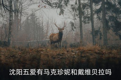 沈陽五愛有馬克珍妮和戴維貝拉嗎