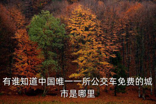 有誰知道中國唯一一所公交車免費(fèi)的城市是哪里