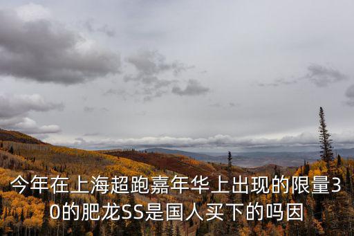 今年在上海超跑嘉年華上出現的限量30的肥龍SS是國人買下的嗎因