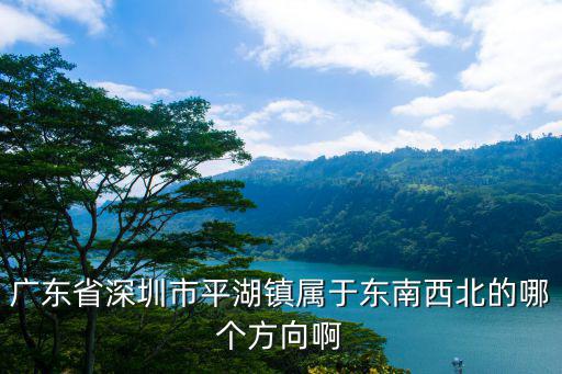 廣東省深圳市平湖鎮屬于東南西北的哪個方向啊