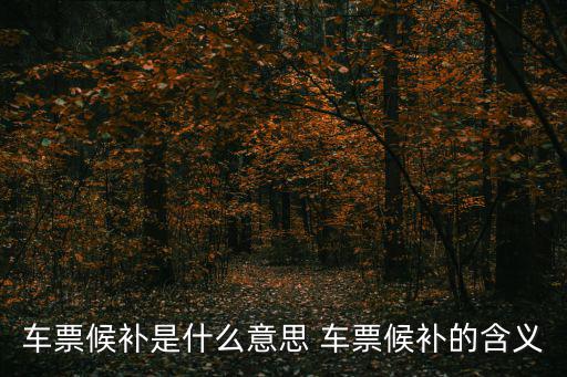 車票候補是什么意思 車票候補的含義