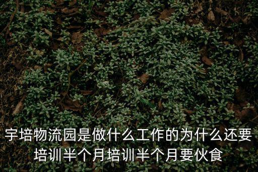 宇培物流園是做什么工作的為什么還要培訓(xùn)半個(gè)月培訓(xùn)半個(gè)月要伙食