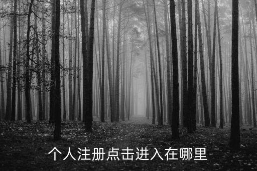個(gè)人注冊(cè)點(diǎn)擊進(jìn)入在哪里