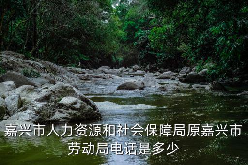 嘉興市人力資源和社會保障局原嘉興市勞動局電話是多少