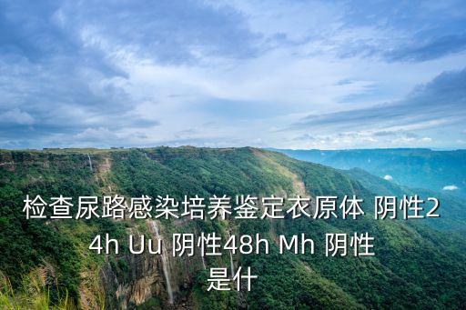 48h是什么意思，檢查尿路感染培養(yǎng)鑒定衣原體 陰性24h Uu 陰性48h Mh 陰性是什