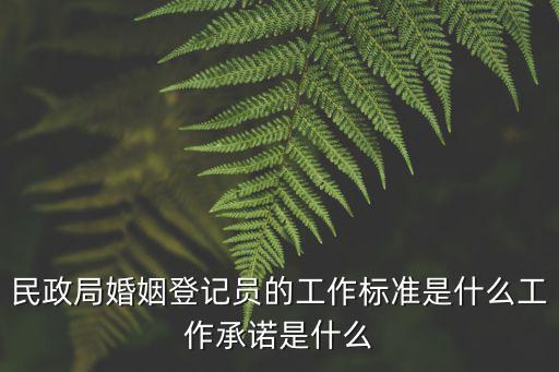 婚姻登記工作規范，結婚登記照的基本要求