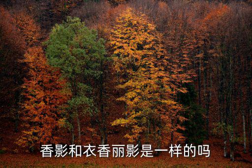 衣香麗影，哈爾濱衣香麗影
