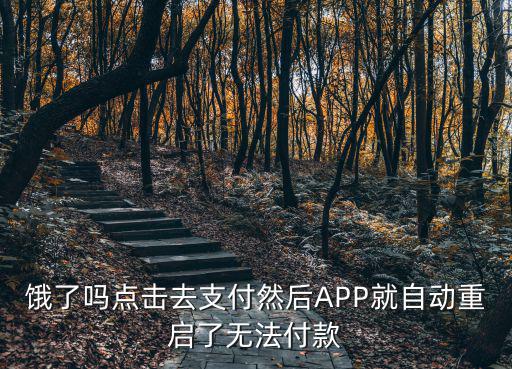 餓了嗎點擊去支付然后APP就自動重啟了無法付款