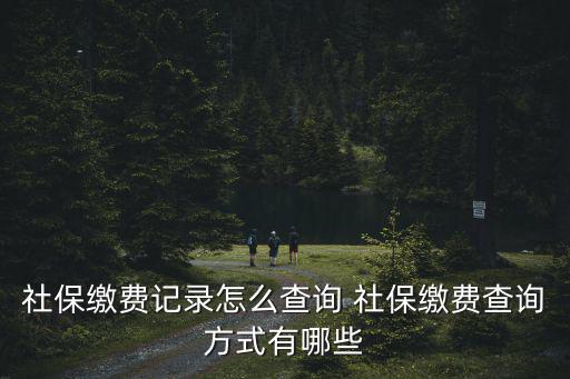 社保繳納查詢，社保繳費記錄怎么查詢 社保繳費查詢方式有哪些
