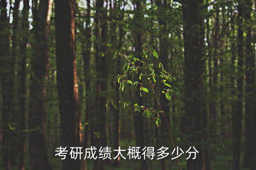考研成績大概得多少分