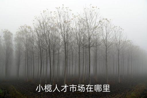 小欖人才市場(chǎng)在哪里