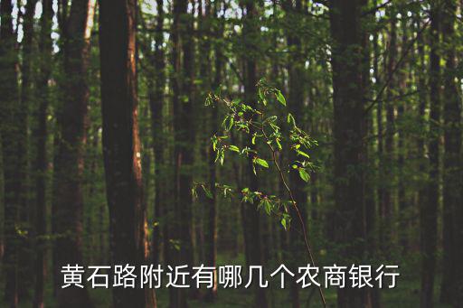 黃石路附近有哪幾個農商銀行