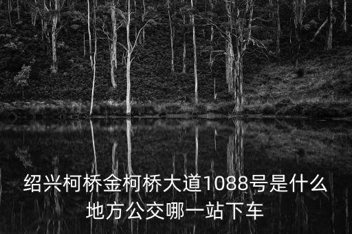 金柯橋大道，金柯橋大道在哪里