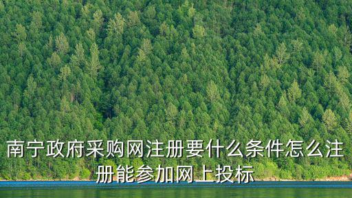 南寧政府采購網注冊要什么條件怎么注冊能參加網上投標