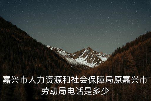 嘉興市人力資源和社會保障局，嘉興市人力資源和社會保障局在哪里幾路車可到