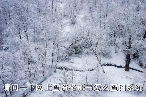 請問一下網上查資格證書怎么查詢系統