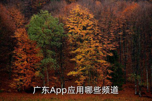廣東少兒頻道，廣東App應用哪些頻道