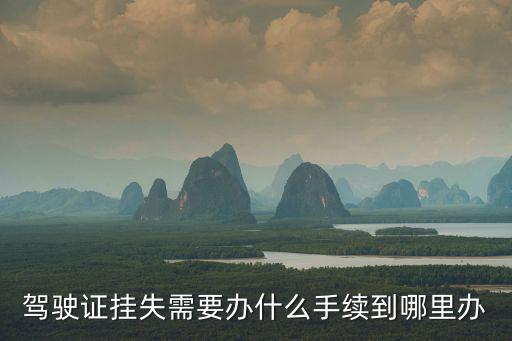 駕駛證掛失需要辦什么手續(xù)到哪里辦
