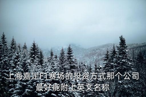 上海嘉定F1賽場的投資方式那個(gè)公司最好能附上英文名稱