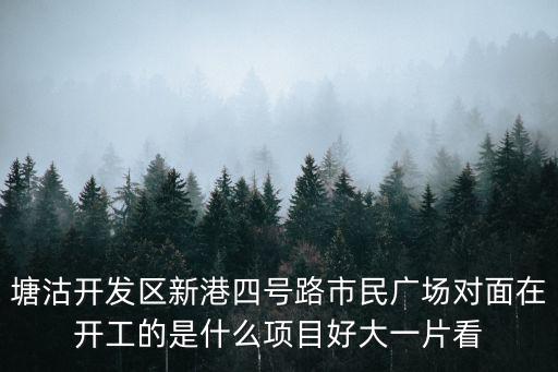 塘沽開發區新港四號路市民廣場對面在開工的是什么項目好大一片看