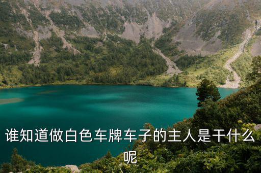白牌車是什么身份，汽車牌有白牌黑牌黃牌藍牌究竟有什么區別又代表了什么