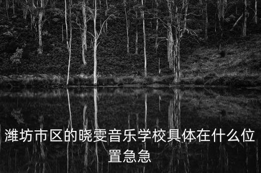 濰坊市區的曉雯音樂學校具體在什么位置急急