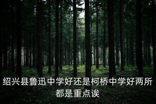 紹興縣魯迅中學好還是柯橋中學好兩所都是重點誒