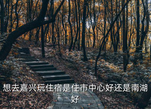 想去嘉興玩住宿是住市中心好還是南湖好