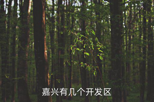 嘉興有幾個開發(fā)區(qū)