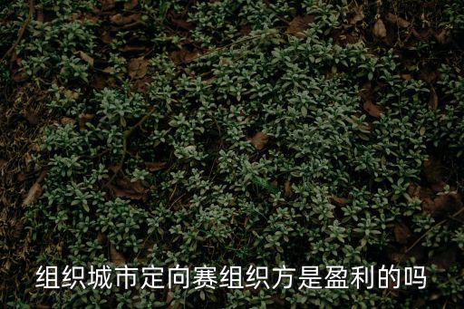 組織城市定向賽組織方是盈利的嗎