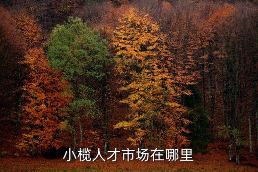小欖菊城人才網(wǎng)，小欖人才市場在哪里