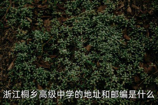 浙江桐鄉高級中學的地址和郵編是什么