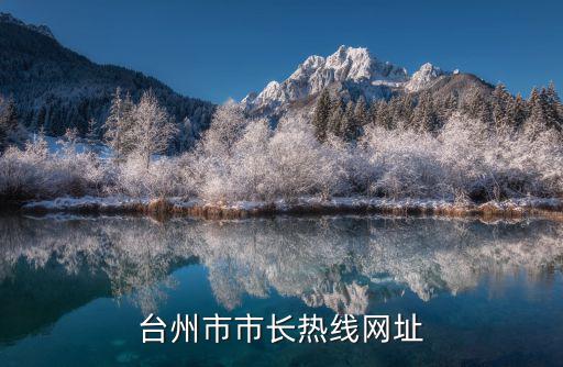 臺州政府網，怎樣開通臺州市人民政府虛擬網