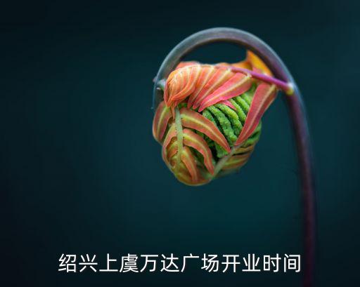 紹興上虞萬(wàn)達(dá)廣場(chǎng)開(kāi)業(yè)時(shí)間