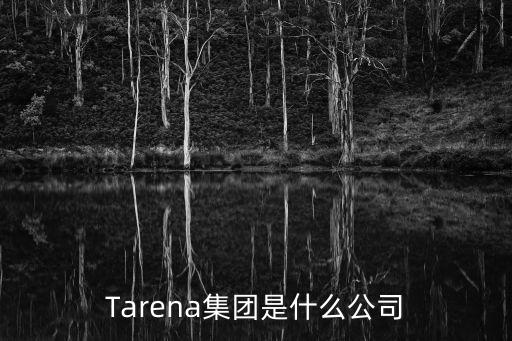 Tarena集團是什么公司