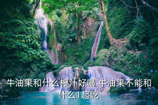 牛油果飲品，牛油果和什么榨汁好喝 牛油果不能和什么1起吃