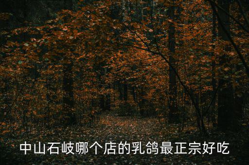 中山乳鴿，中山的乳鴿