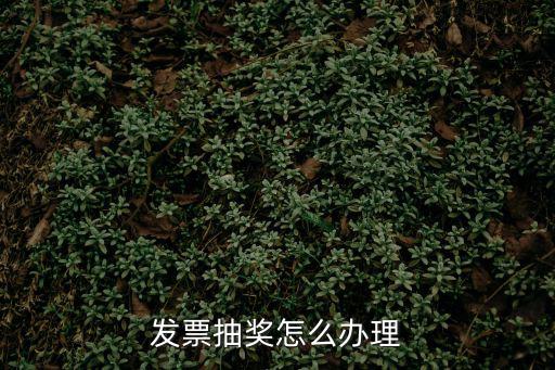 發票抽獎怎么辦理