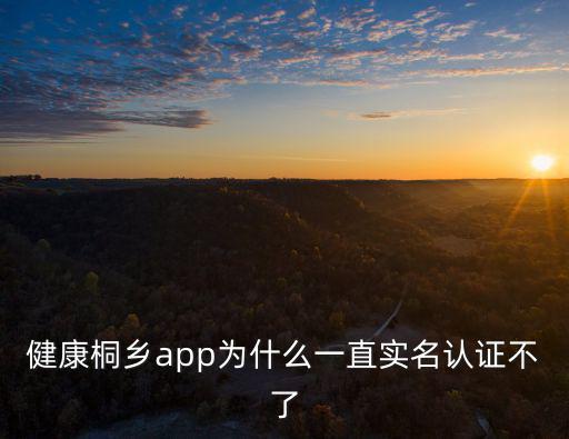 健康桐鄉app為什么一直實名認證不了