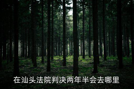 在汕頭法院判決兩年半會去哪里