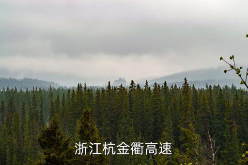 杭金衢高速公路，杭金衢高速是否經過黃山市
