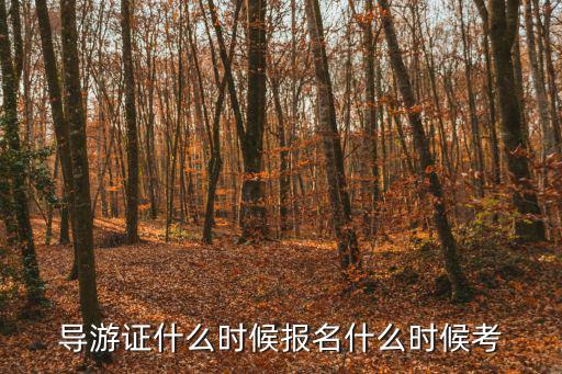 導游證什么時候報名什么時候考