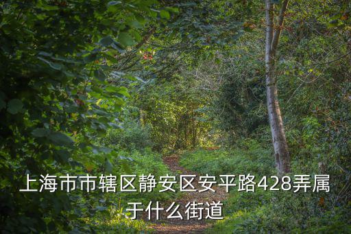 上海市市轄區(qū)靜安區(qū)安平路428弄屬于什么街道