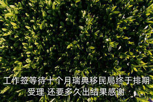 工作簽等待十個月瑞典移民局終于排期受理 還要多久出結果感謝