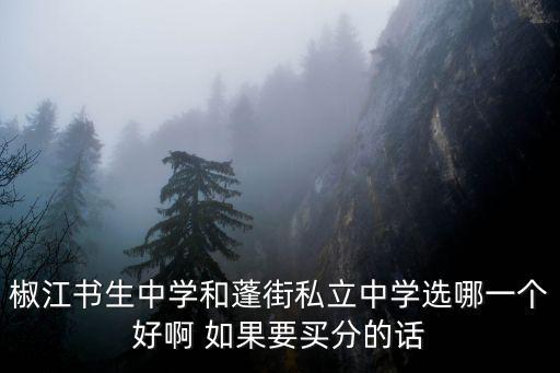 椒江書生中學和蓬街私立中學選哪一個好啊 如果要買分的話
