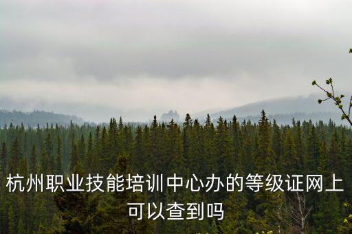 杭州職業(yè)技能培訓(xùn)中心辦的等級(jí)證網(wǎng)上可以查到嗎
